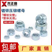 Pressure riveting nut Sheet metal riveting parts Pressure plate nut screw M2M2 5m3m4m5M6M8M10 compression nut
