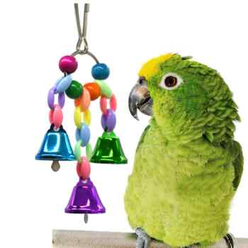 Parrot toys, bird toys, colorful beads and bell strings, parrots holding paws and claws and grabbing pet toys with their feet.