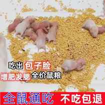 Golden Bear Xiaochang Hamster Baby Cub Food Baby Nutrition Products Baby Rat Food Supplementary Food Postpartum Meal Snacks