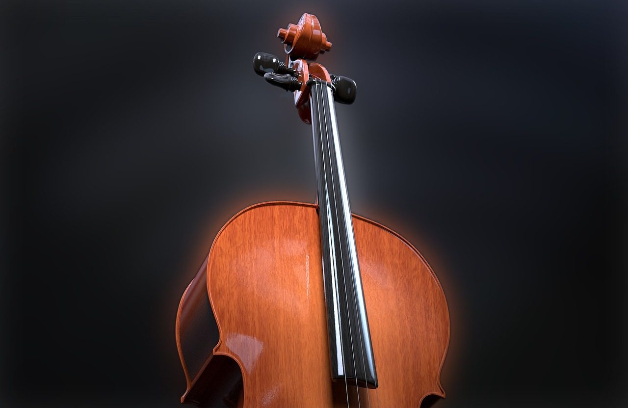 a cello with 6 strings