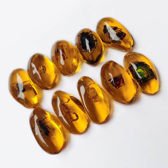 Imitation Amber Insect Specimen Pendant Making Blind Box Resin Glue Children's Textbook Teaching Science Props Ornaments for Students