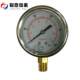 Yn60 Shock-Resistant Pressure Gauge Oil-Filled 100Psi 7Bar kg Anti-Vibration Pressure Gauge Shock-Proof Glycerin 304 Stainless Steel