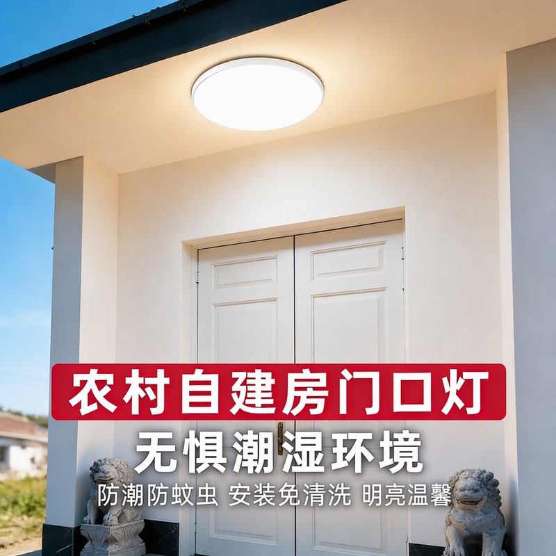 Ceiling Light for the Entrance of a Self-Built Rural House, Foyer, Villa, Outdoor New Chinese-Style Anti-Mosquito and Moisture-Proof Light
