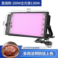 Прямая заглушка -в [200 -ваттный пудровый пурпурный свет 1300K] много -миг -специфический