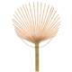 Bamboo Fan Frame, Fan Skeleton, Semi-Finished Fan, Handmade DIY Fan, Japanese-Style Fan