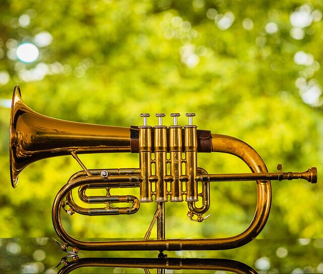 how to clean a trumpet mouthpiece