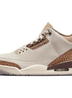 Jordan Air Jordan 3 