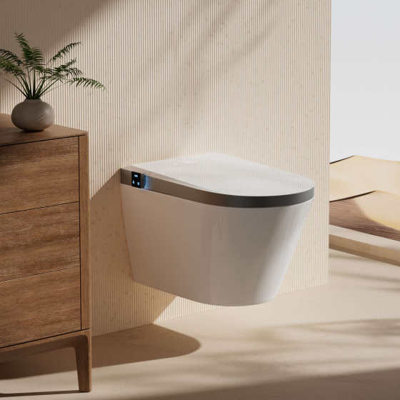 日本ZANA壁挂式智能马桶家用墙排防臭全自动悬空隐藏水电坐便器