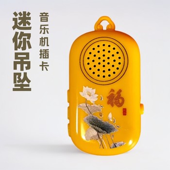 New Pendant Music Player with Card Charging, Mini Neck-Hanging Single Loop Small Player Portable Record Player