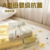 Class A maternal and infant grade antibacterial aerobic cotton double-layer yarn skin-friendly cotton small fresh printed sheets three or four-piece set
