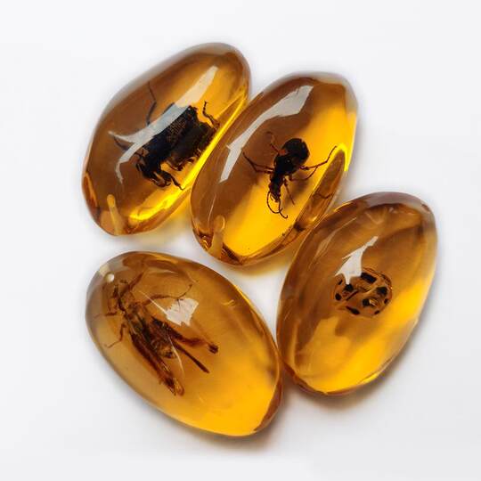 Imitation Amber Insect Specimen Pendant Making Blind Box Resin Glue Children's Textbook Teaching Science Props Ornaments for Students