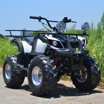 Customized sports four-wheel motorcycles on demand scenic desert ATVs all-terrain karts powerful
