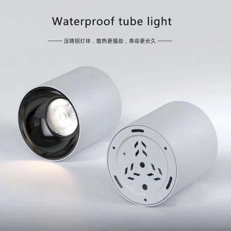Waterproof surface-mounted downlight corridor door terrace awning bathroom outdoor waterproof ceiling-mounted surface-mounted museum spotlight