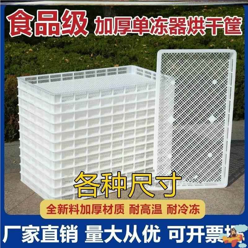 Drainage Grid Board for Drying Items, Rectangular Food Drying Basket, Plastic Single-Freezing Container, Freezing and Drying Tray