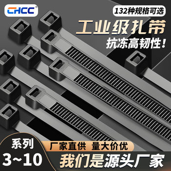 Rope Strip 12cm Environmentally Friendly Metal Tie Hot Selling Pe Plastic Tie Galvanized Wire Core Tie Wire Tie