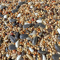 Parrot mixed bird food peony black phoenix and other small and medium-sized parrot bird food five-color millet millet