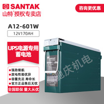 Santak ARRAY series lead battery long life design front terminal high power discharge A12-601W