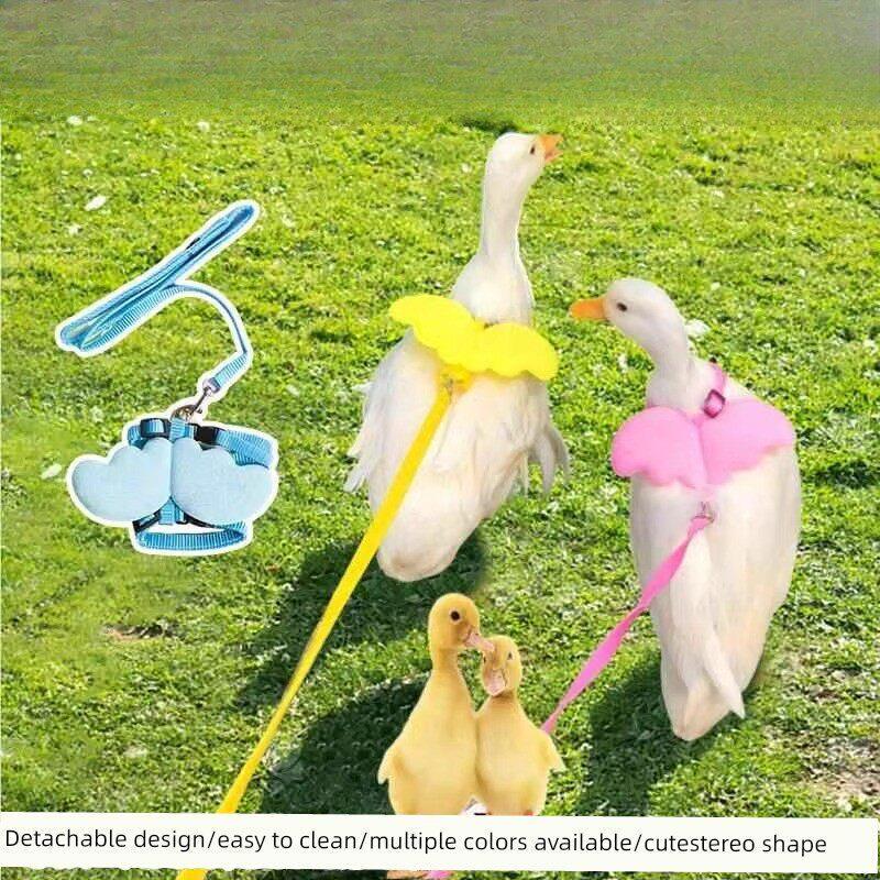 Cole Duck Leash for Walking Ducks, Small Ducks, Chicks, Geese, and Chickens; Specialized Outdoor Supplies for Raising Ducks