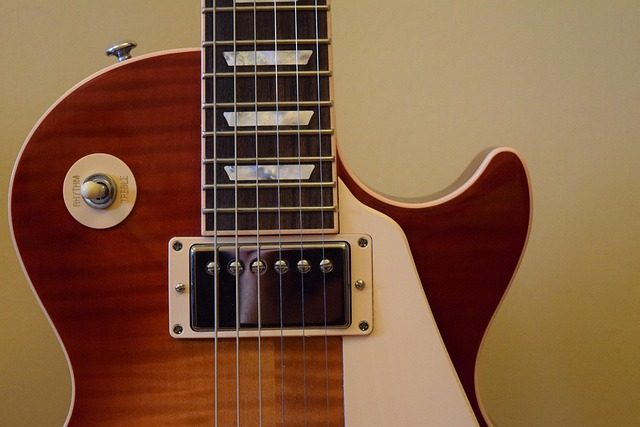 what guitar did angus young play