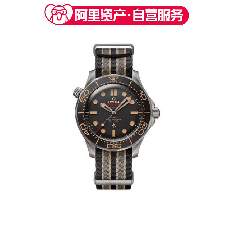 Omega Seamaster Series 42mm 210.92.42.20.01.001 Omega Seamaster Series 42mm 210.92.42.20.01.001