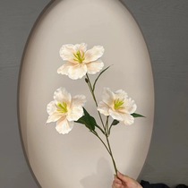 Home wedding real imitation celebration 111 imitation Phalaenopsis real flowers