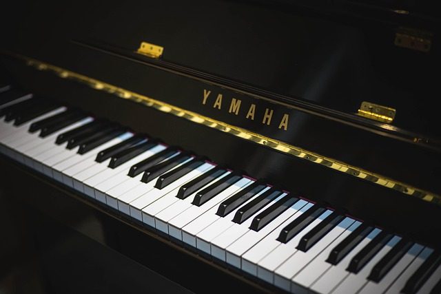 how to read bass clef piano