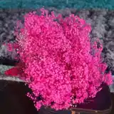 Сушеная гипсофила, сухоцветы, букеты из сухоцветов, большие букеты, прямые продажи с фабрики, бессмертные цветы, материал своими руками, настоящие цветы, украшения, предметы интерьера