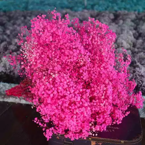 Сушеная гипсофила, сухоцветы, букеты из сухоцветов, большие букеты, прямые продажи с фабрики, бессмертные цветы, материал своими руками, настоящие цветы, украшения, предметы интерьера