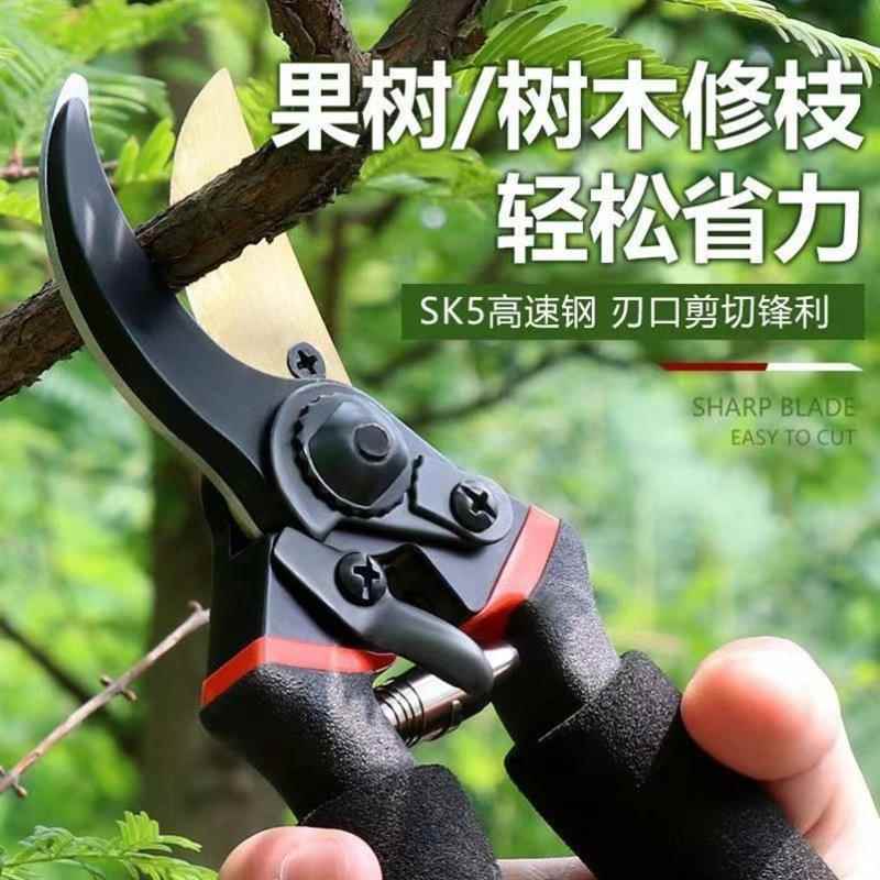 园艺爱好者的福音！德国强力省力树枝剪，让你轻松成为园艺大师！-园艺刀剪-淘宝好物网
