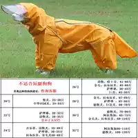 Хуан-гонг собака