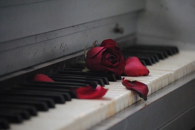 how to read a piano sheet