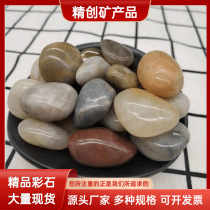 Pebble factory garden courtyard landscaping project multicolored stone polished rain flower stone 2-4cm for paving