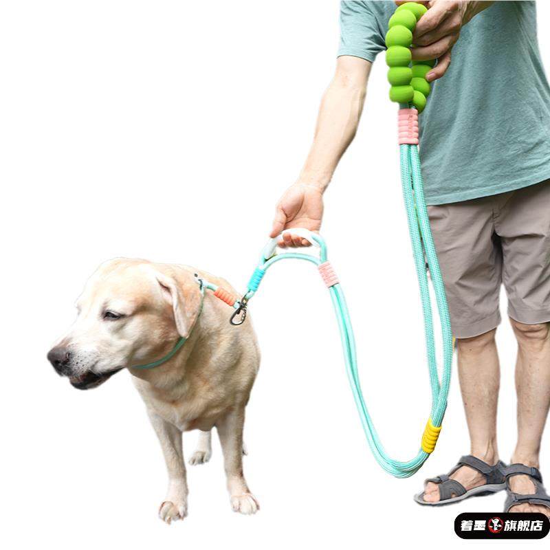 Thickened and Reinforced Large Dog Leash, Anti-Shock Collar, Labrador P Chain, Sturdy Dog Leash for Large Dogs, Double-Layer Rope