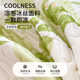 Summer Class A latex ice silk mat three-piece set bed skirt 2025 summer air conditioning mat sheet mat machine washable