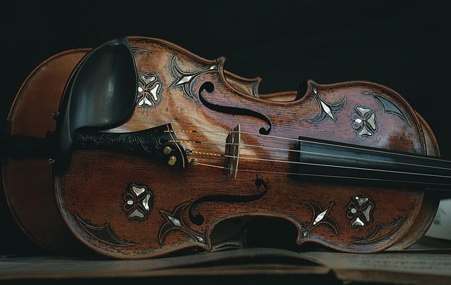 what is the difference between a violin and viola