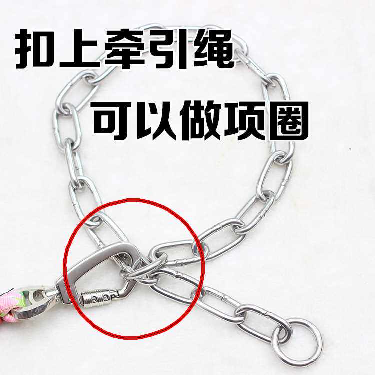 Stainless steel pet p-chain large dog chain golden horse in large dog neck chain dog chain neck chain