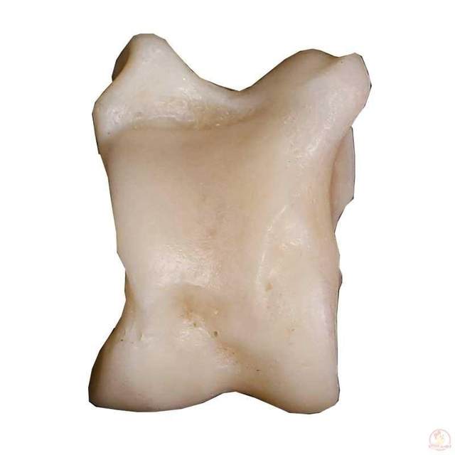 Sheep Galaha Sheep Bone Toy Galaha Sheep Bone Post-80s Nostalgic Plastic Traditional Game