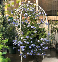 Retro leisure chair climbing pergola balcony leisure chair courtyard back chair outdoor iron chair lazy chair park chair