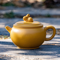 Guo Gong Zhou Liang Red Purple Clay Pot Yixing Raw Mine High Quality Gold Zhuni Flower Good Full Moon Capacity 200cc