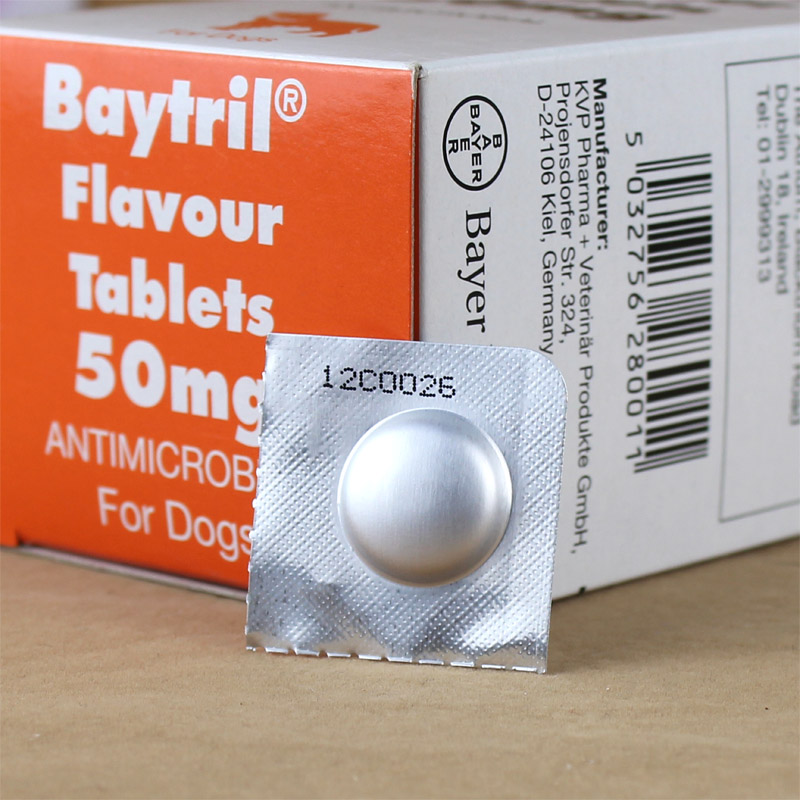 德国拜耳拜有利风味片50mg 宠物犬猫抗生素狗狗消炎药 1粒