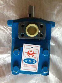High pressure vane pump hydraulic YB-E80 YB-E80 YB-E100 YB-E125 YB-E125 Guangdong wide liquid card