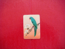 Annual Calendar Card - Bird 1977]