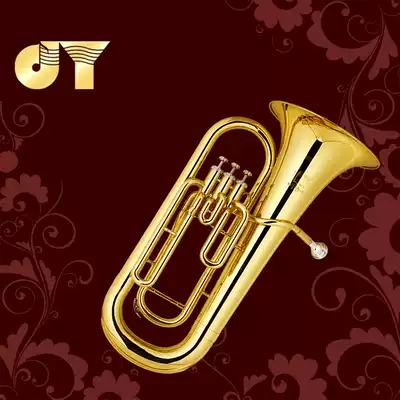 Gold tone instrument on the key of the sound number B flat JYEU-E100G paint gold manufacturers self-protection anti-counterfeiting
