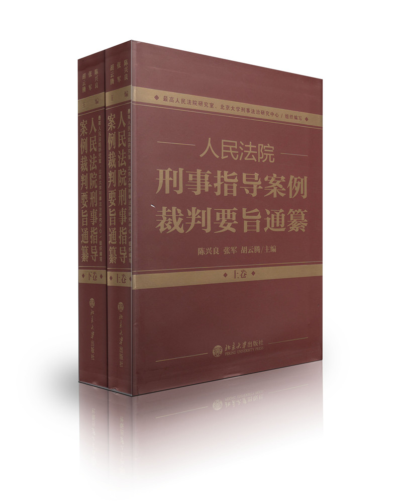 人民法院刑事指导案例裁判要旨通纂（上下卷）陈兴良 张军 胡云腾