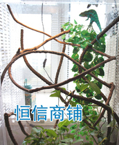 Reptile tree vine IG lizard green hyena chameleon reptile climbing box rattan high simulation exit turn inner large 2 increase 1