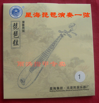 Xinghai pipa plays a string