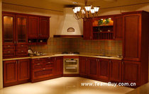 Professional production of integrated cabinets wardrobes brand hoods stoves integrated stoves and disinfection cabinets