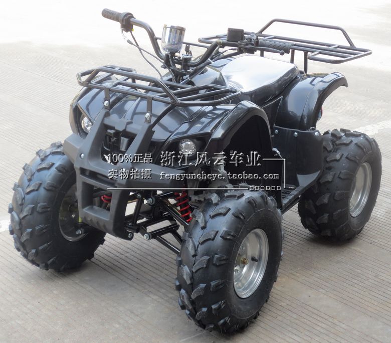 125cc Little Bull ATV ATV Quad Motocross 8 inch tire double aluminum row