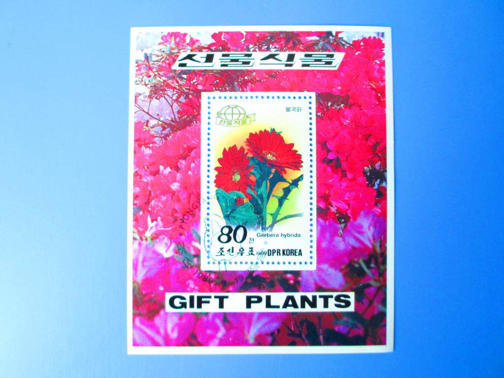 Foreign stamps North Korea 1989 Flower Didge Grass Stamp Sheetlet 1 full