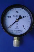 Factory Direct China Ryerda Instrument Steam High Temperature Pressure Gauge Boiler YTW-100 16kg
